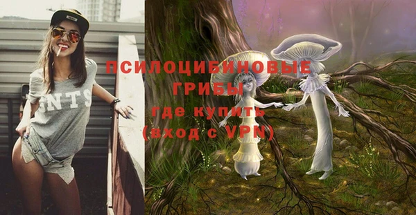 гашиш Шадринск