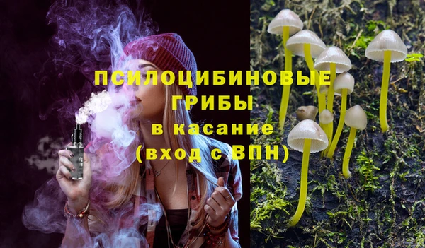 кристаллы Покачи