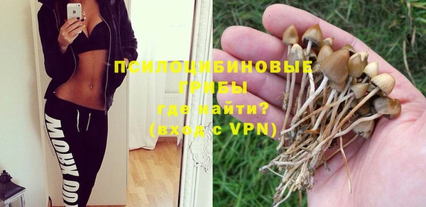 соль ск Покров