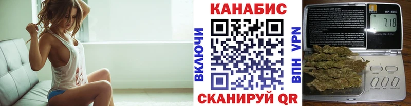 Бошки Шишки планчик Белёв